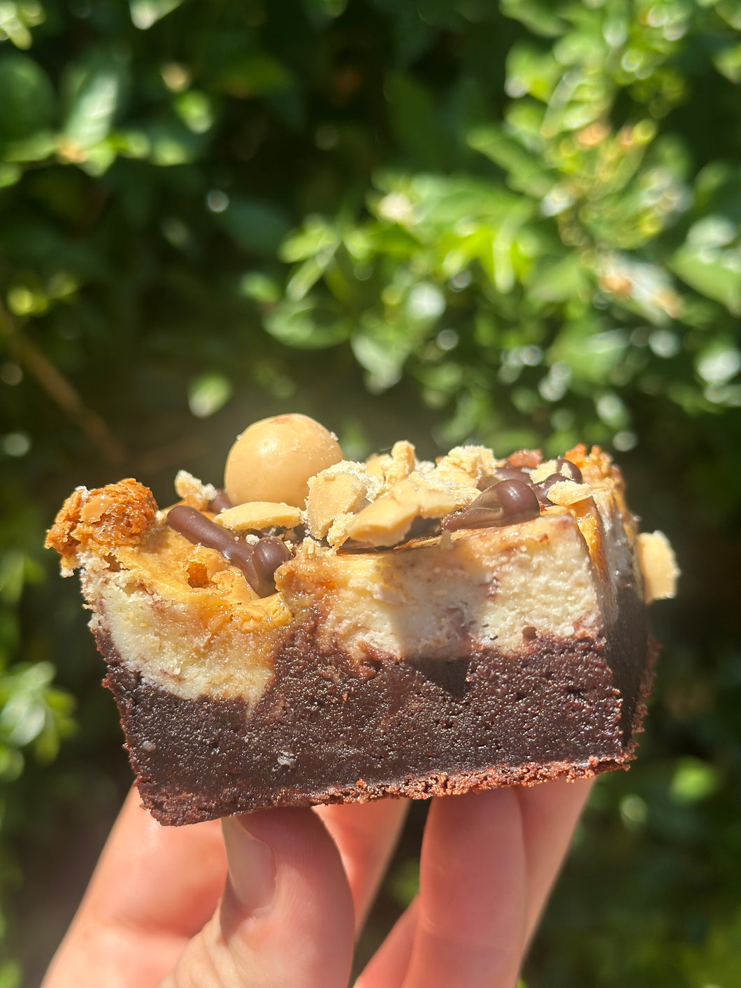 FLAVOUR OF THE MONTH! Gold Malteser Cheesecake Brownie